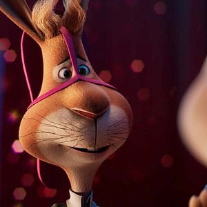 Photo Walter Lapin