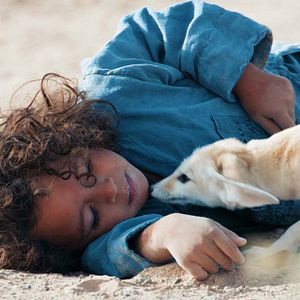 Photo L'Enfant Du Désert