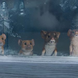 Photo Panique à Noël 