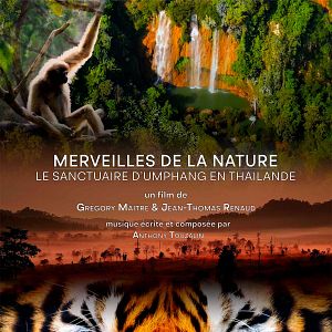 Photo Merveilles de la nature - Le Sanctuaire d'Umphang en Thaïlande