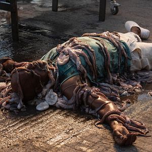 Photo Commandant Saint-Barth