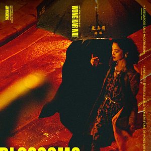 Photo Blossoms Shanghai