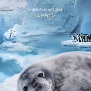 Photo Antarctique : Une aventure au cœur de la  banquise