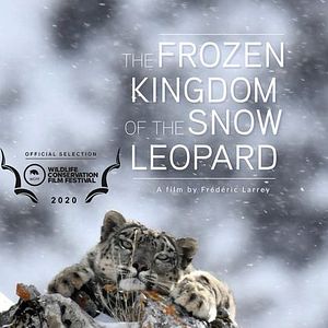 Photo Le royaume glacé de la panthère des neiges