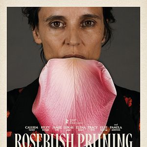 Photo Rosebush Pruning