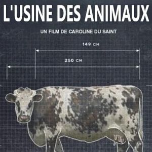 Photo L'Usine des animaux