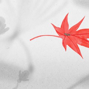 Photo Esprit(s) rebelle(s)