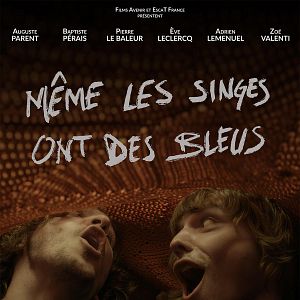 Photo Même les singes ont des bleus