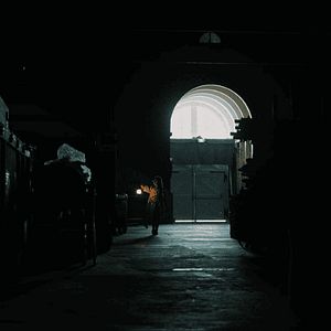 Photo Régressions