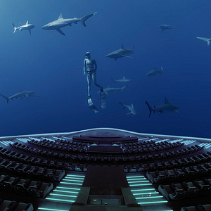 Photo Le Royaume des requins