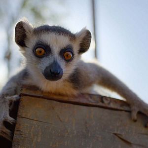 Photo Naturellement Sauvages