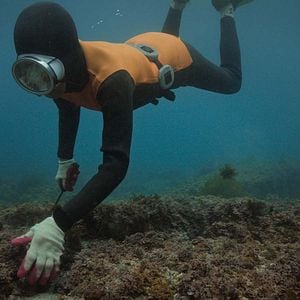 Photo Haenyeo : les dernières gardiennes de la mer