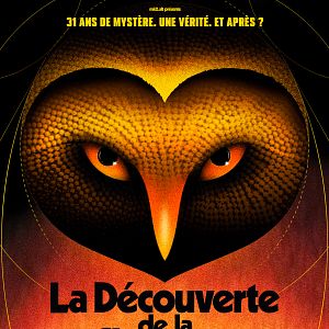 Photo La découverte de la chouette d'or