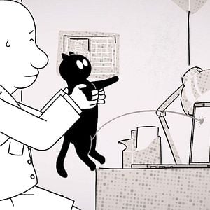 Photo Putain de chat !