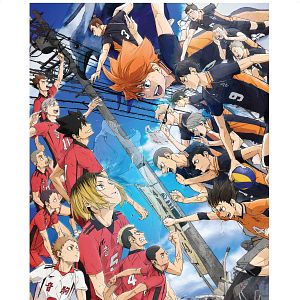 Photo HAIKYU!! La Guerre des Poubelles