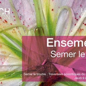 Photo Scratch Collection : Ensemencer : Semer le trouble