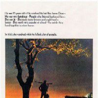 Photo La Balade sauvage