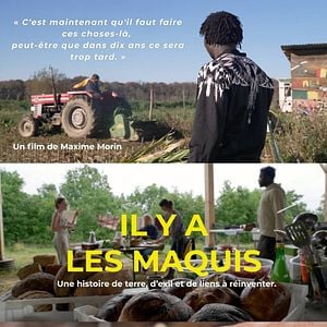 Photo Il y a les maquis