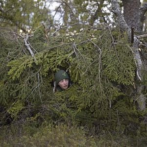 Photo Le Chant des forêts