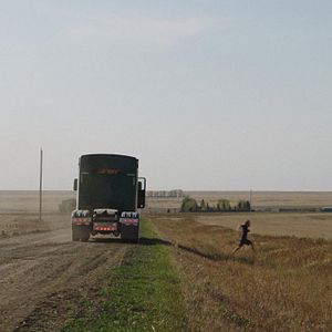 Photo Rodéo
