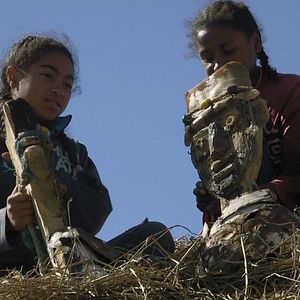 Photo Sitabaomba, Chez les zébus francophones