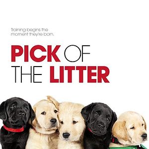 Photo Pick of the Litter