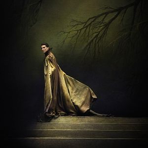 Photo Le lac des cygnes