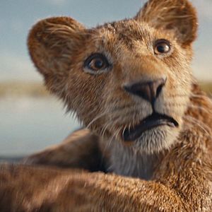Photo Mufasa : Le Roi Lion