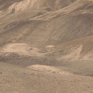 Photo L’Himalaya Sans Filtre : Sur Les Routes De Lo