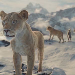 Photo Mufasa : Le Roi Lion