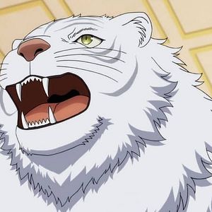 Photo Dad is a Hero, Mom is a Spirit, I'm a Reincarnator