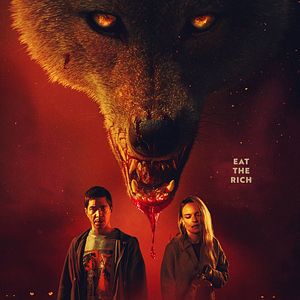 Photo Coyotes