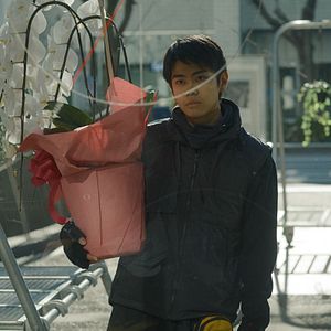 Photo Des Fleurs pour Tokyo