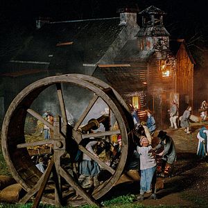 Photo Harvest
