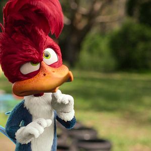 Photo Woody Woodpecker : Alerte en colo