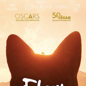 Photo Flow, le chat qui n’avait plus peur de l’eau