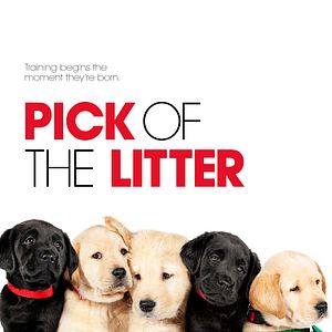 Photo Pick of the Litter