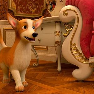 Photo Les Chiens à l'Opéra