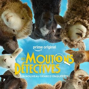 Photo Les Moutons Détectives