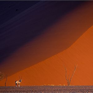 Photo ALTAÏR conférences - Namibie, époustouflante par nature