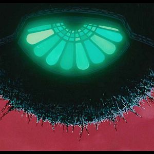 Photo L'Oeuf de l'ange