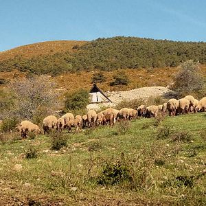 Photo France, une histoire d'amour