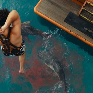 Photo Dangerous Animals