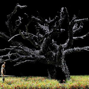 Photo Siegfried (The Royal Opera)