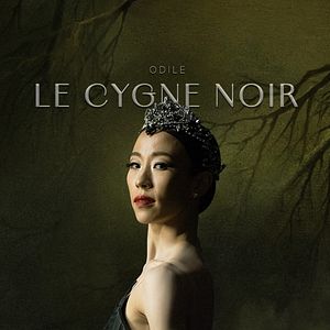 Photo Le lac des cygnes