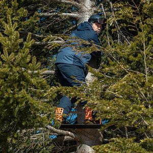 Photo Papa ne comprend pas