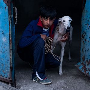 Photo Ciudad sin sueño