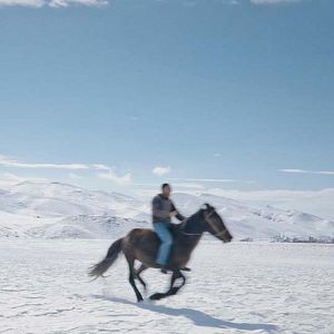 Photo Five Dreamers and a Horse