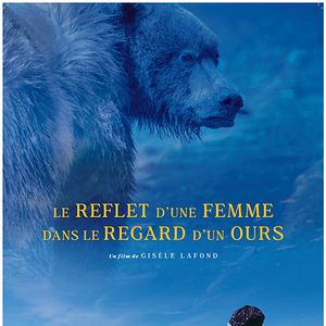 Photo Le reflet d’une femme dans le regard d’un ours