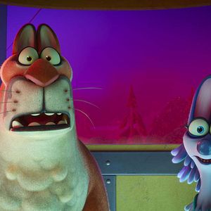 Photo Une nuit au zoo